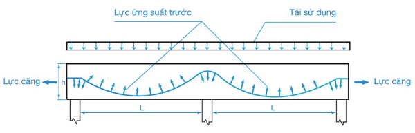 nguyen-ly-hoat-dong-ket-cau-be-tong-du-ung-luc