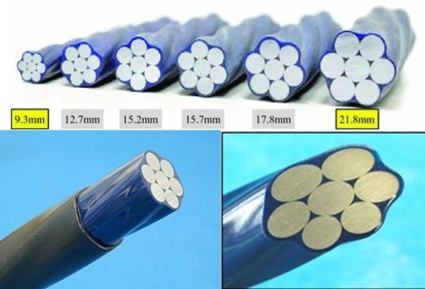 cau-tao-xoan-cap-du-ung-luc-voi-7-soi-co-ban 