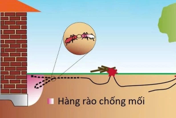 tai-sao-can-chong-moi-trong-khi-xay-nha 