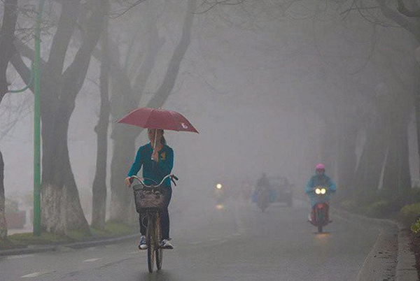 tim-hieu-nguyen-nhan-tac-hai-va-cach-phong-chong-hien-tuong-nom-am 