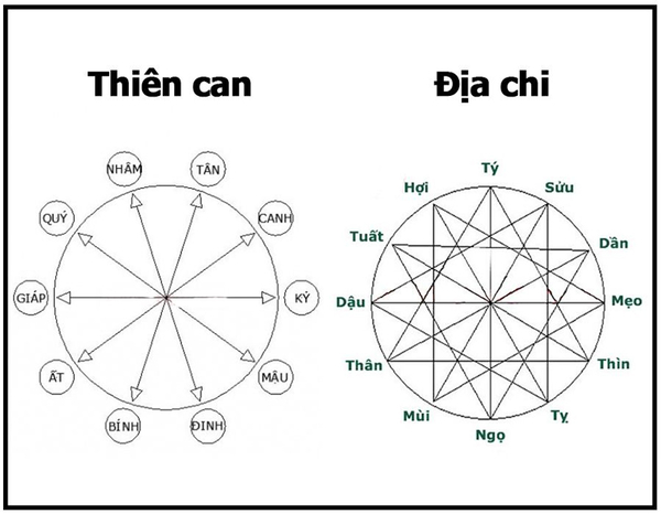nam-ban-menh-duoc-xac-dinh-dau-tren-tuoi-moi-nguoi-theo-he-thong-12-con-giap