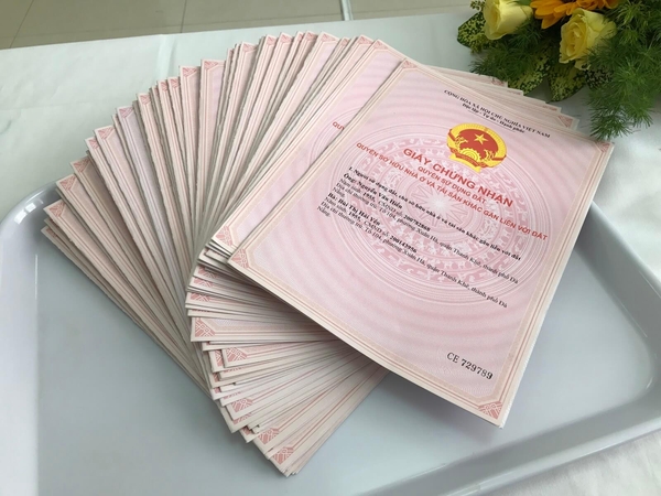 ho-so-phap-ly-cua-doanh-nghiep-la-giay-to-quan-trong-trong-bo-ho-so-xin-cap-phep 